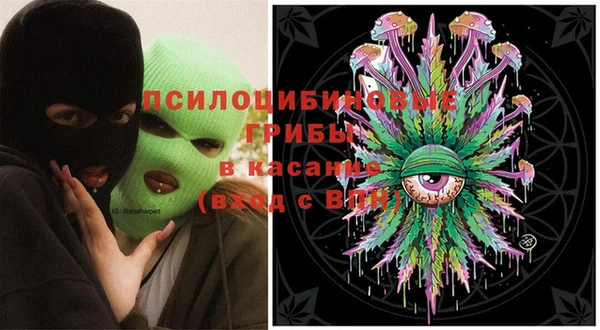 бошки Абаза