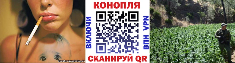 МАРИХУАНА тримм  продажа наркотиков  Псков 