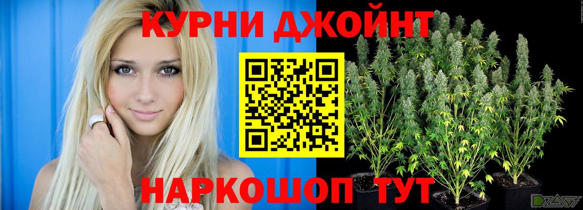 Бошки Шишки конопля Псков